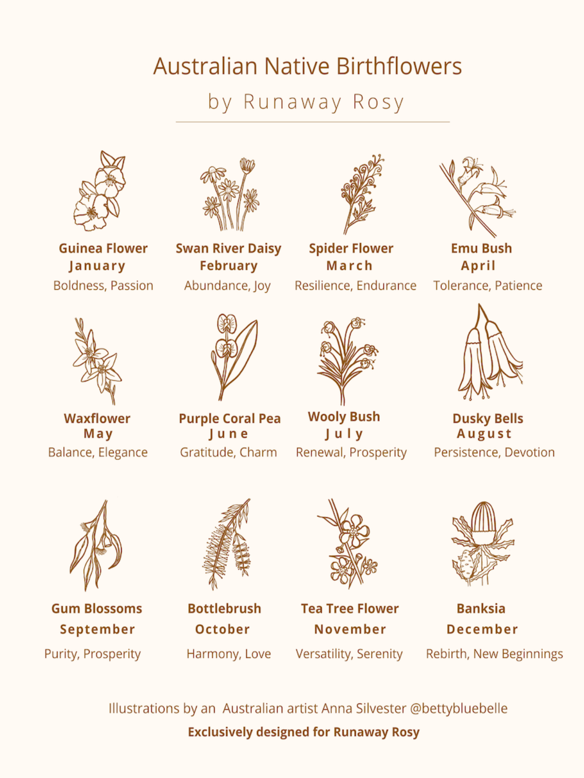 A chart with all the Australian natives birth flowers illustrations by Runaway Rosy