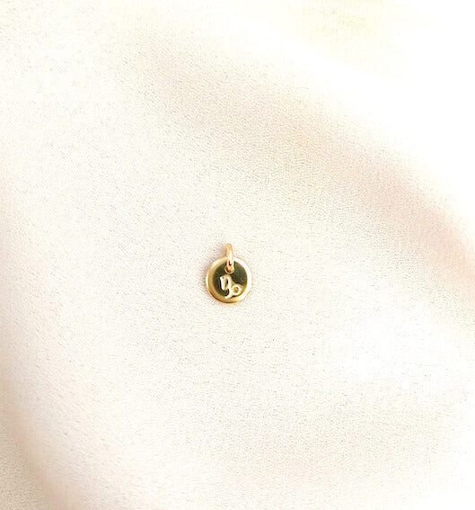 Zodiac Disc Mini Charms