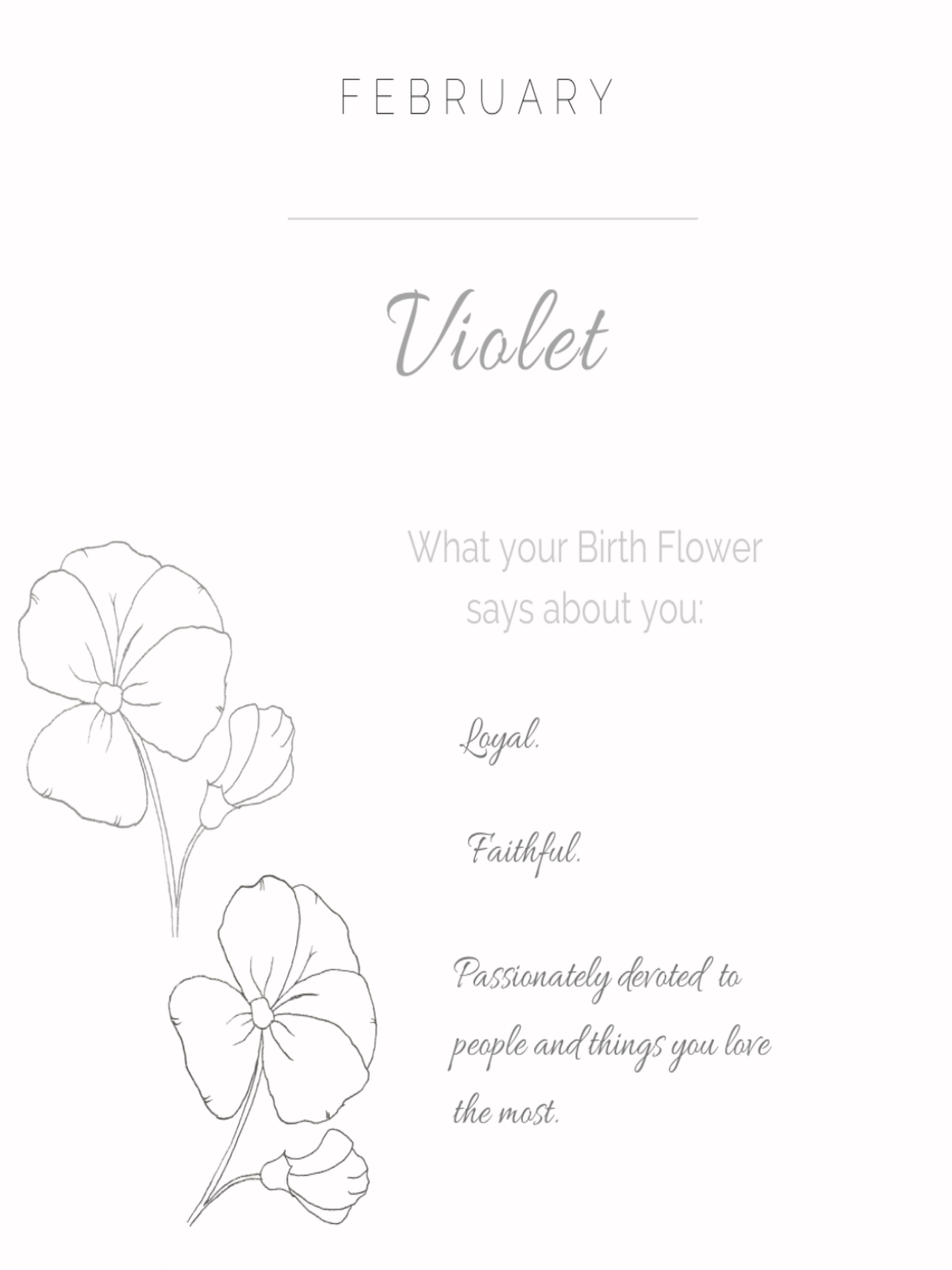 Violet - February Birthflower