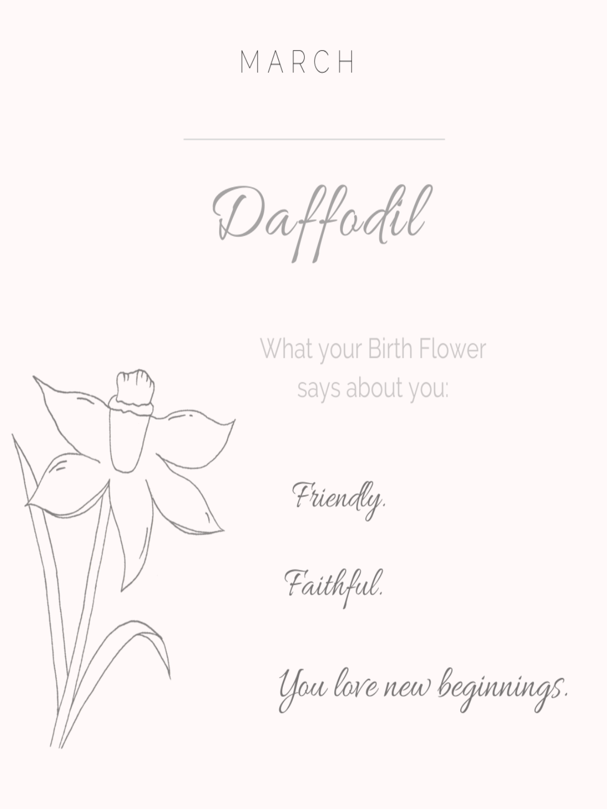 Daffodil - March Birth Flower