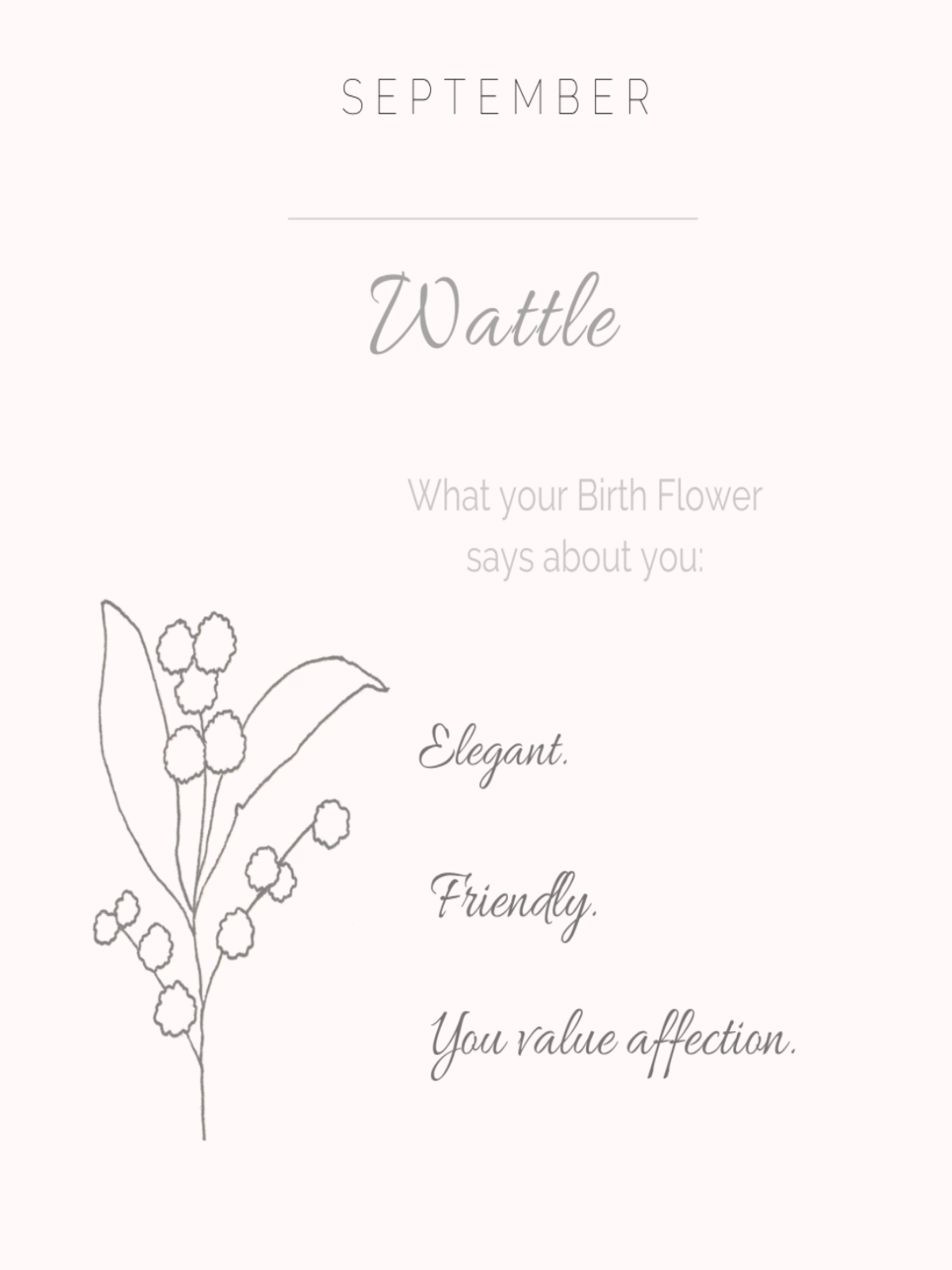 Wattle - September Birth Flower